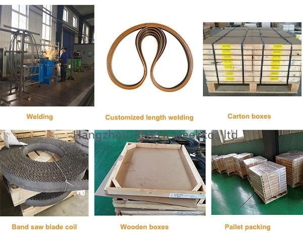 product-600-462